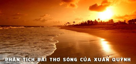 phan tich bai tho song xuan quynh 520x245 - Phân tích bài thơ Sóng của Xuân Quỳnh