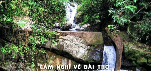 cam nghi bai xa ngam thac nui lu 520x245 - Phát biểu cảm nghĩ về bài thơ Xa ngắm thác núi Lư của Lí Bạch