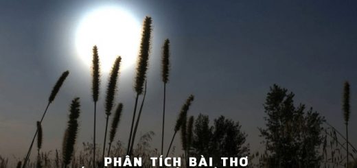 phan tich bai tho ngam trang cua ho chi minh 520x245 - Phân tích bài thơ Ngắm trăng của Hồ Chí Minh