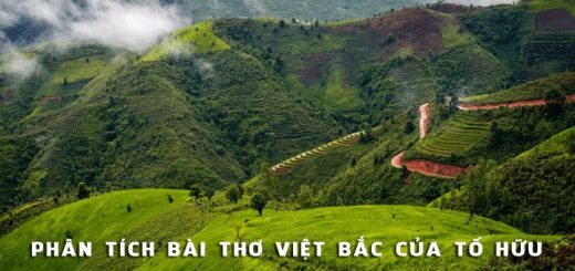 phan tich bai tho viet bac cua to huu 520x245 - Phân tích bài thơ Việt Bắc của Tố Hữu