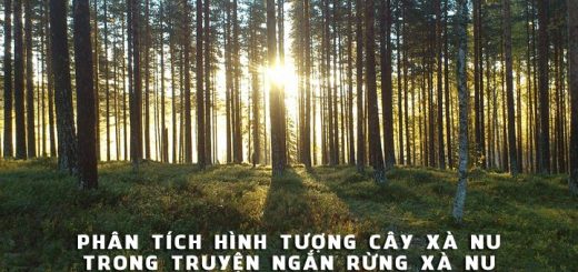 phan tich hinh tuong cay xa nu trong truyen rung xa nu 520x245 - Phân tích hình tượng cây xà nu trong truyện ngắn Rừng xà nu của Nguyễn Trung Thành