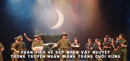 phan tich nhan vat nguyet trong tac pham manh trang cuoi rung 520x245 - Phân tích vẻ đẹp nhân vật Nguyệt trong truyện ngắn Mảnh trăng cuối rừng của Nguyễn Minh Châu