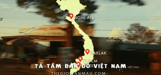 ta tam ban do viet nam 520x245 - Tả tấm bản đồ Việt Nam - Văn mẫu lớp 4